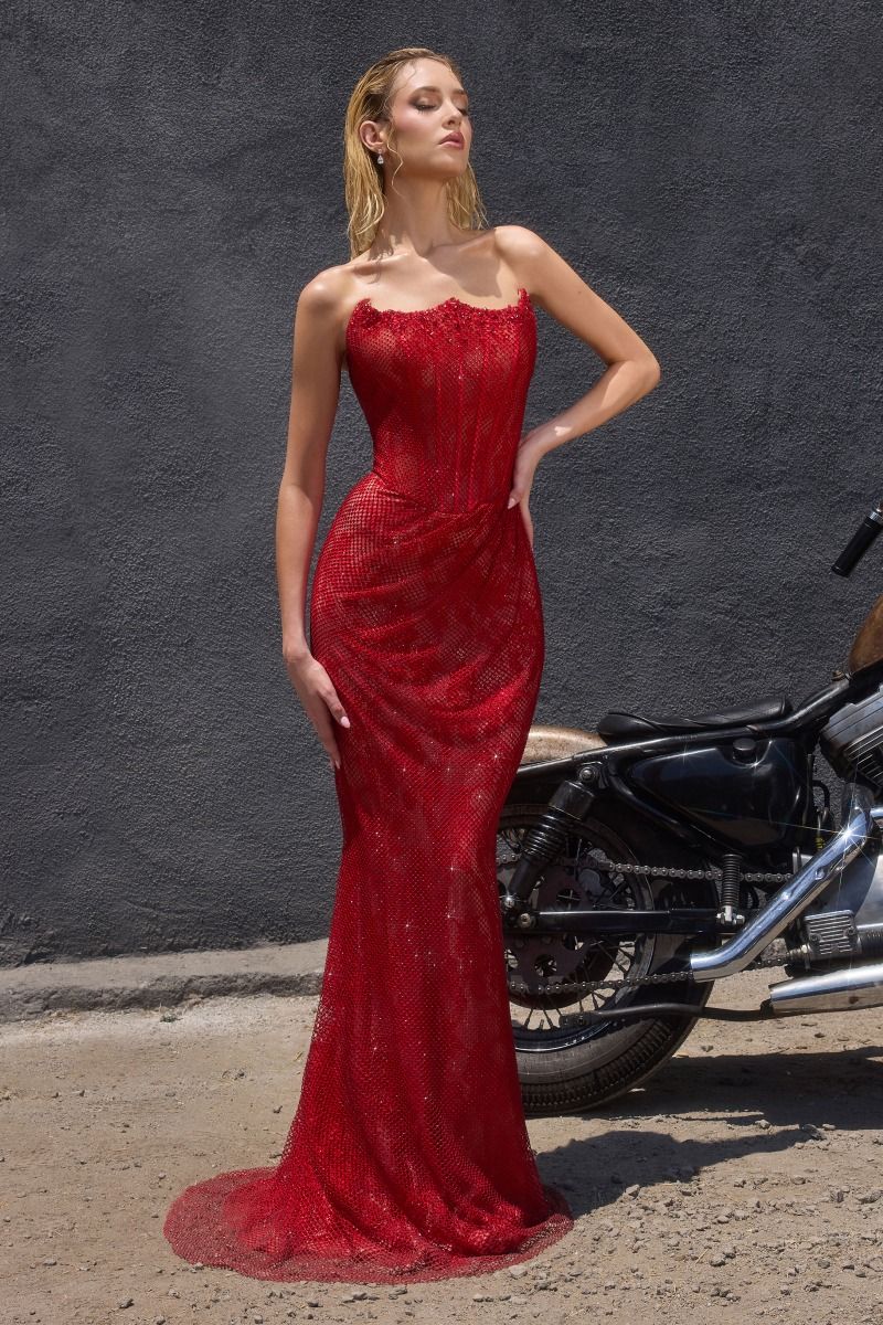 VIXEN GOWN - MESH OVERLAY MERMAID DRESS